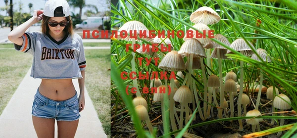 амф Новосибирск