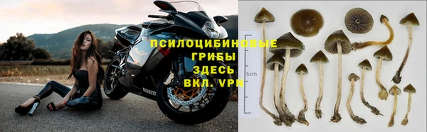 амф Новосибирск