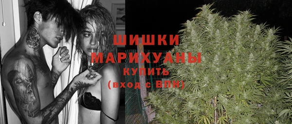 крисы Ессентукская