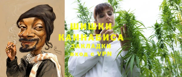 крисы Ессентукская