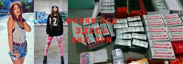 крисы Ессентукская