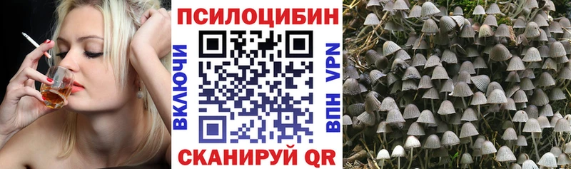 Псилоцибиновые грибы Psilocybine cubensis  Купить где  Ржев 